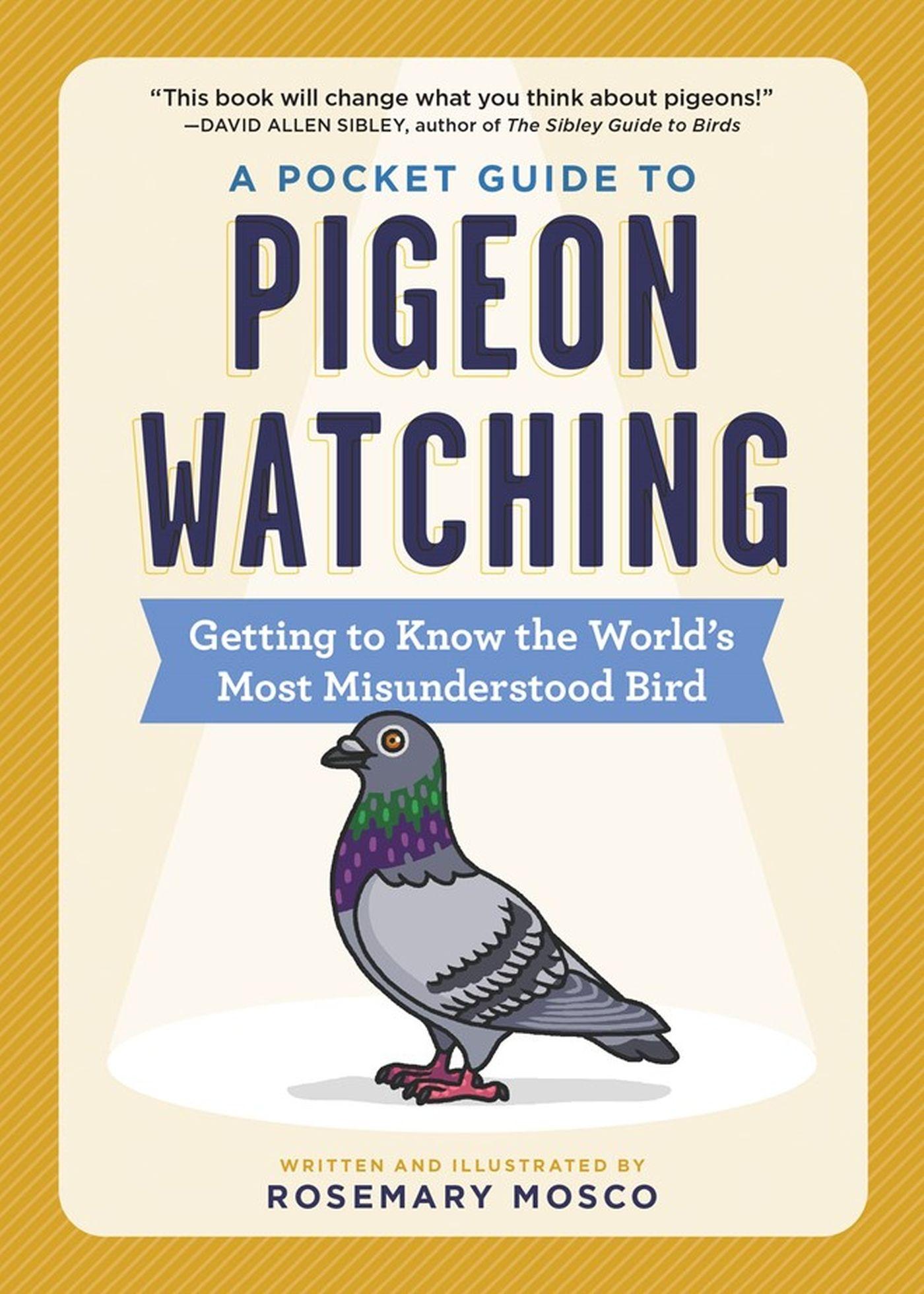 Vorderes Coverbild A Pocket Guide to Pigeon Watching