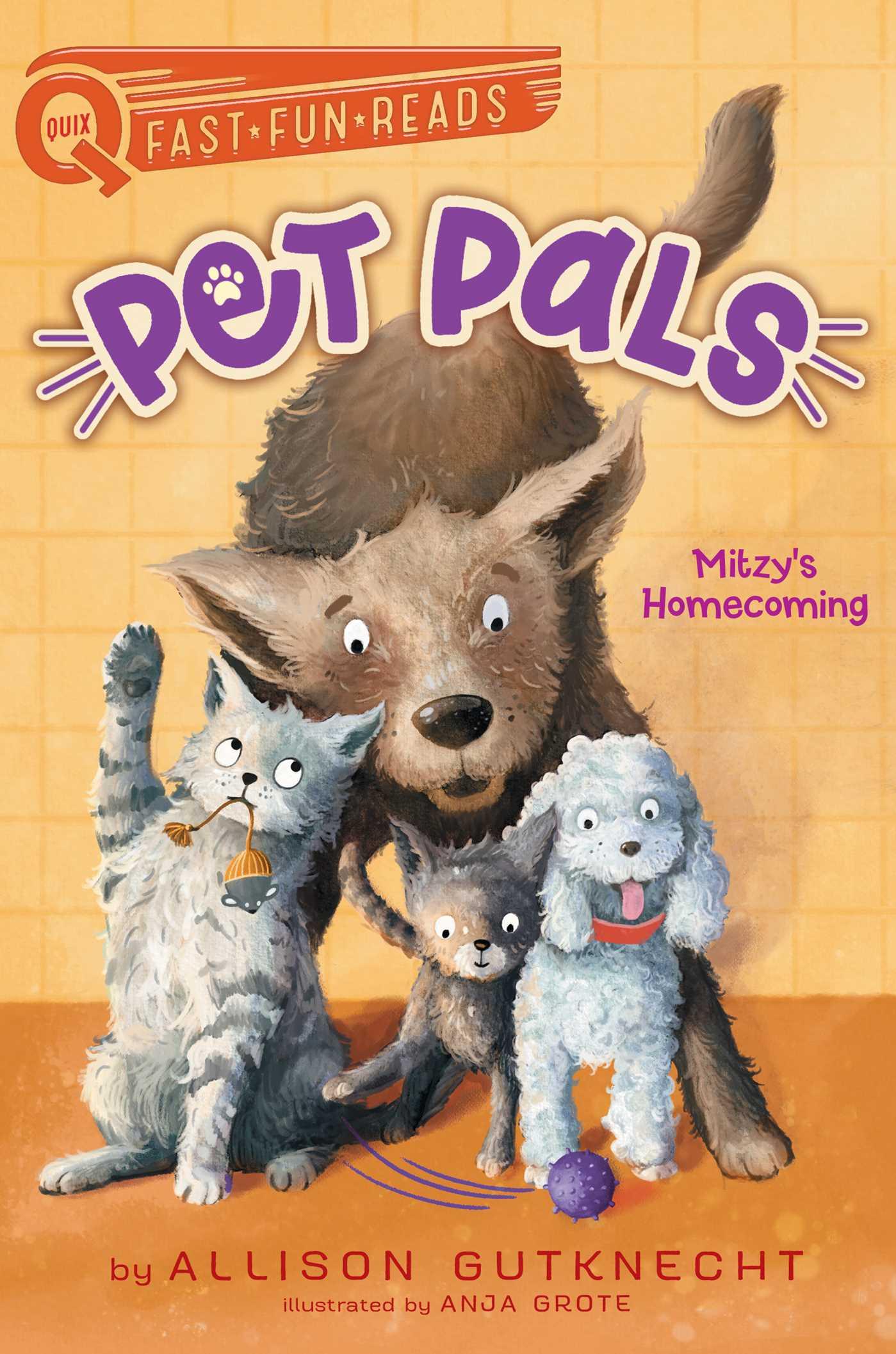 Vorderes Coverbild Mitzy's Homecoming