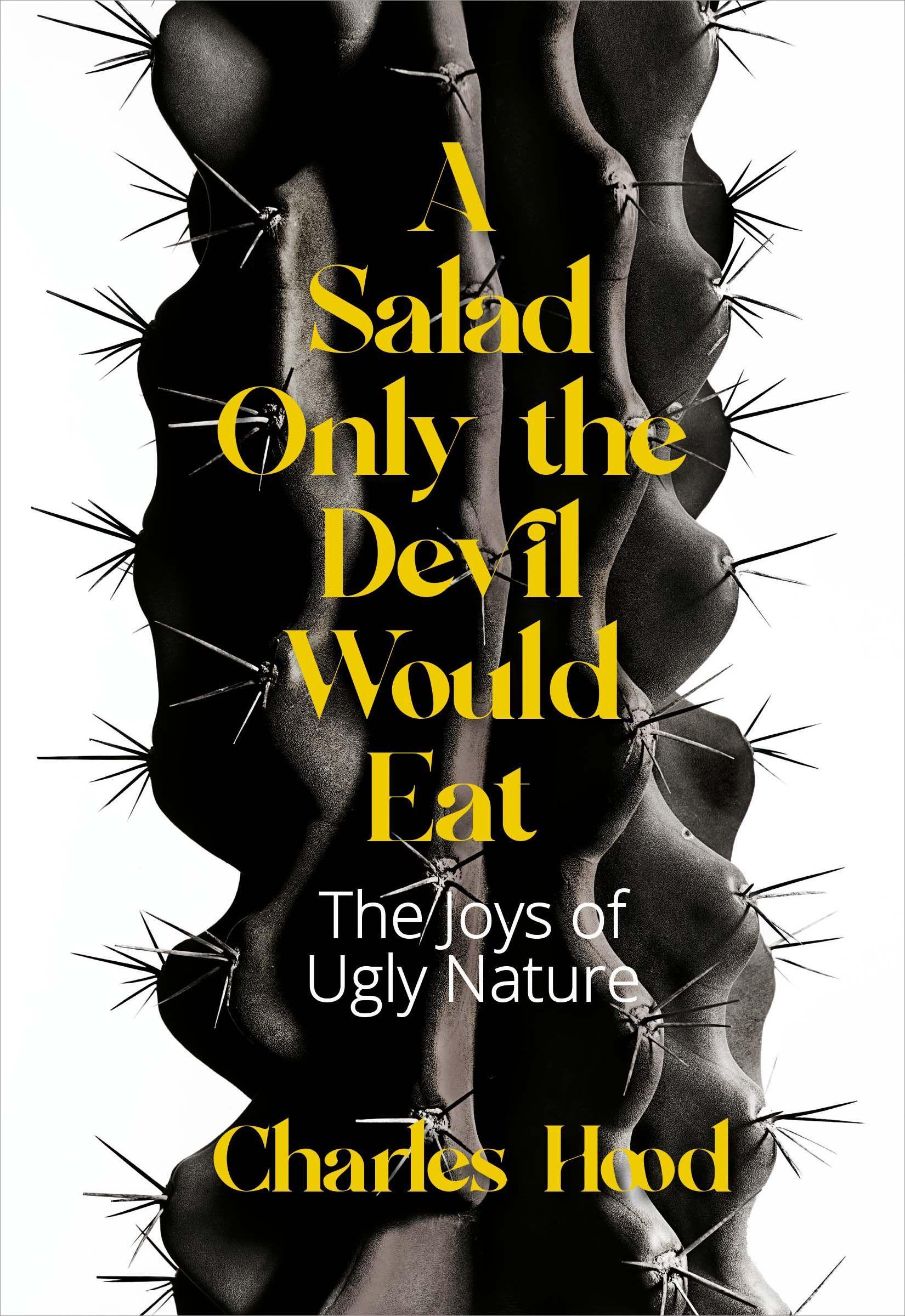 Vorderes Coverbild A Salad Only the Devil Would Eat