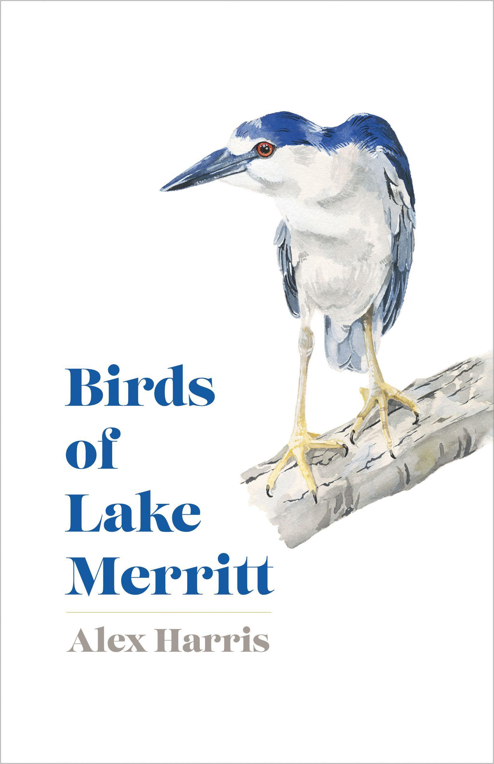 Vorderes Coverbild Birds of Lake Merritt