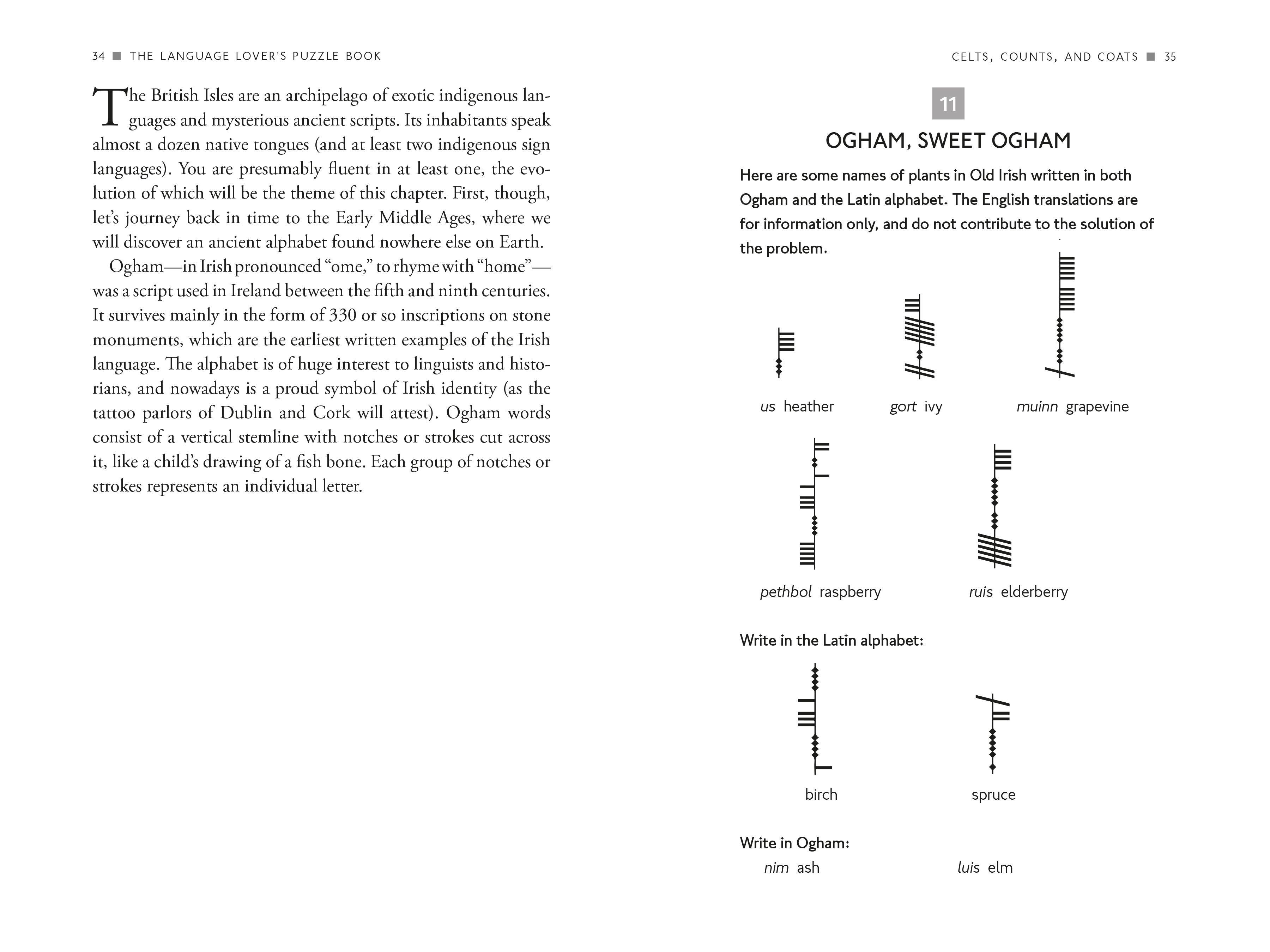 Beispielinhalt (Bild) The Language Lover's Puzzle Book