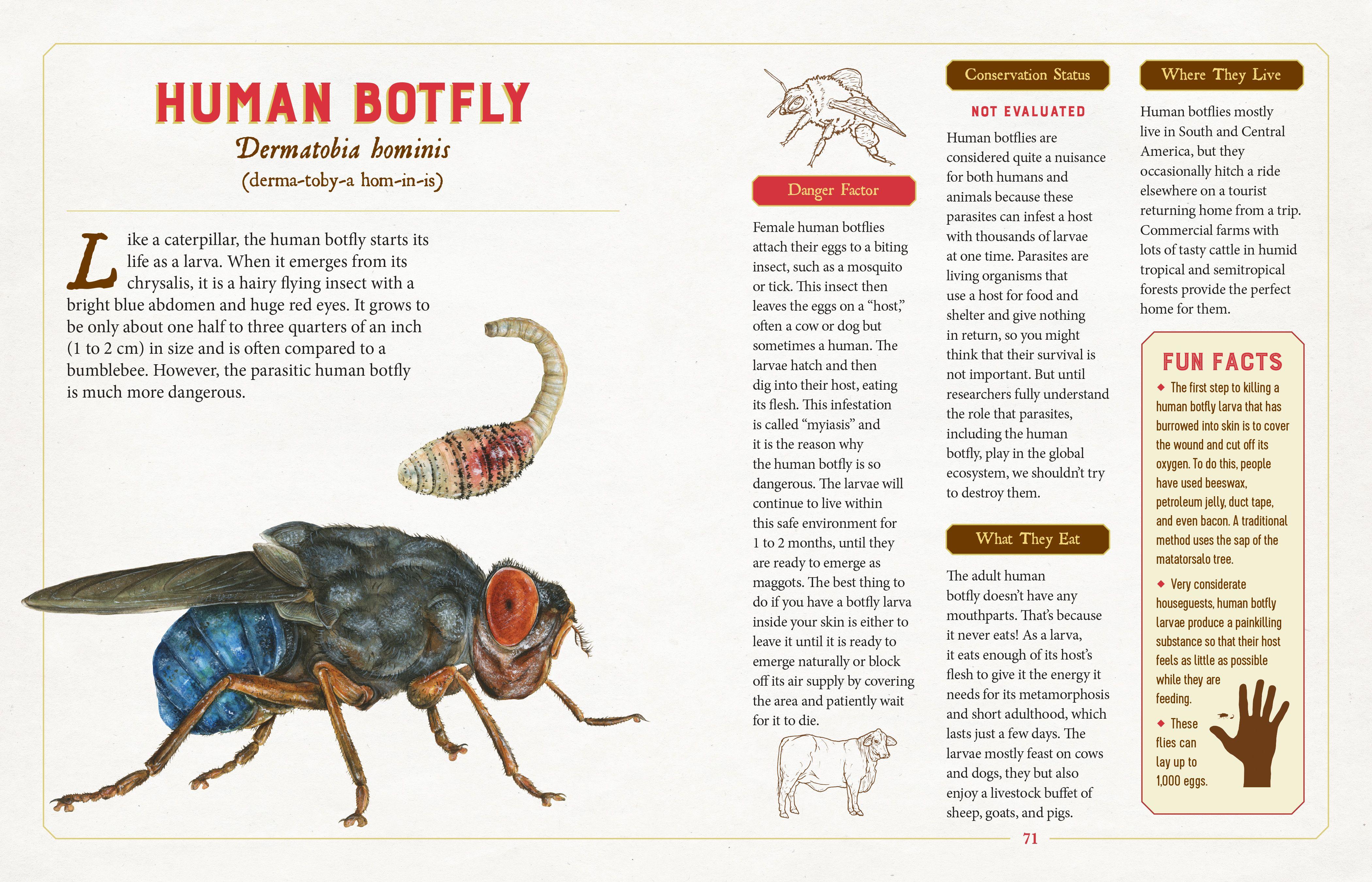 Beispielinhalt (Bild) A Curious Collection of Dangerous Creatures