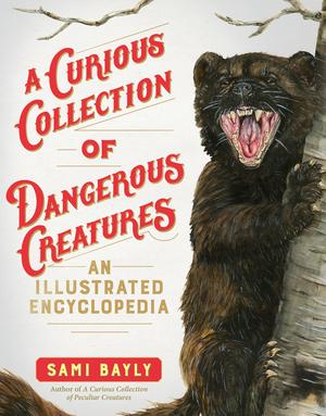 Vorderes Coverbild A Curious Collection of Dangerous Creatures