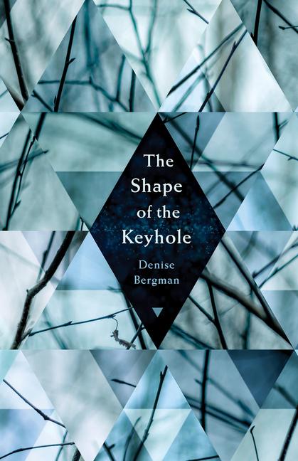 Vorderes Coverbild The Shape of the Keyhole