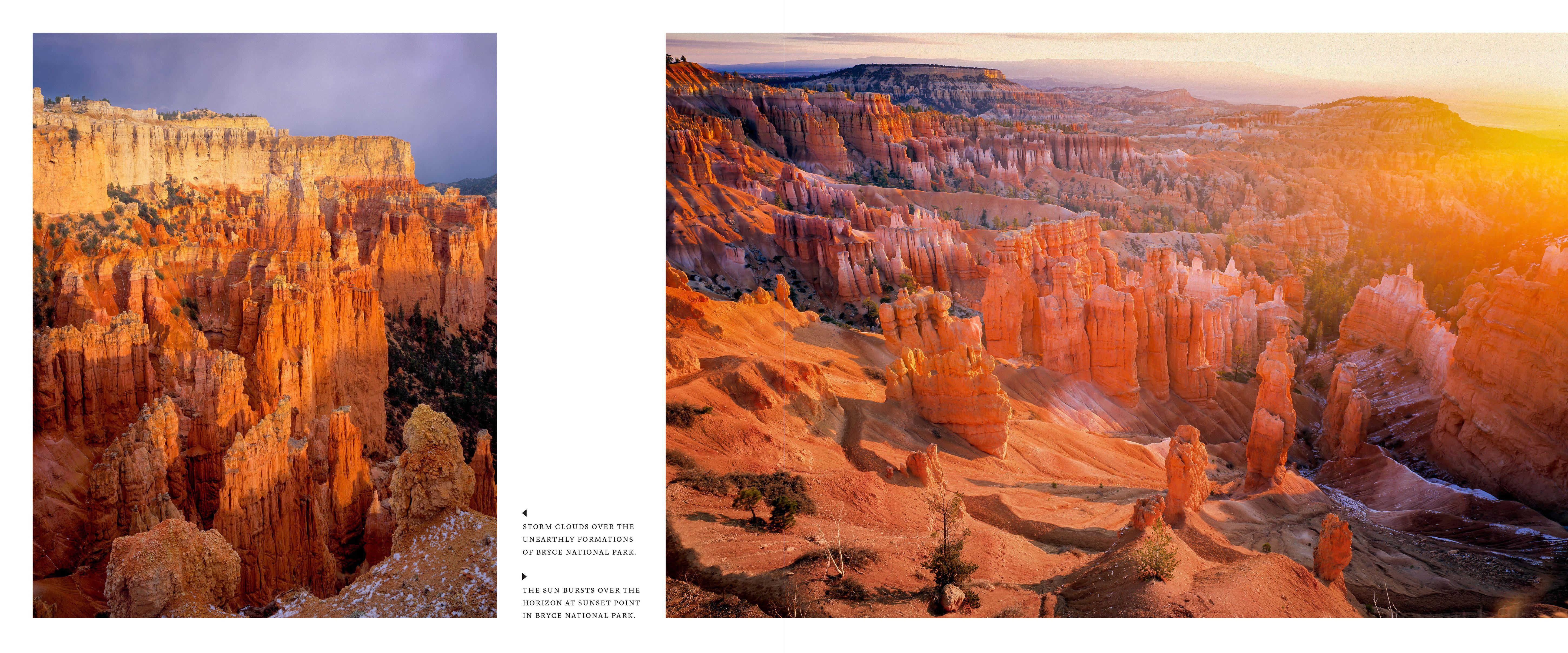 Beispielinhalt (Bild) Utah: The Beehive State