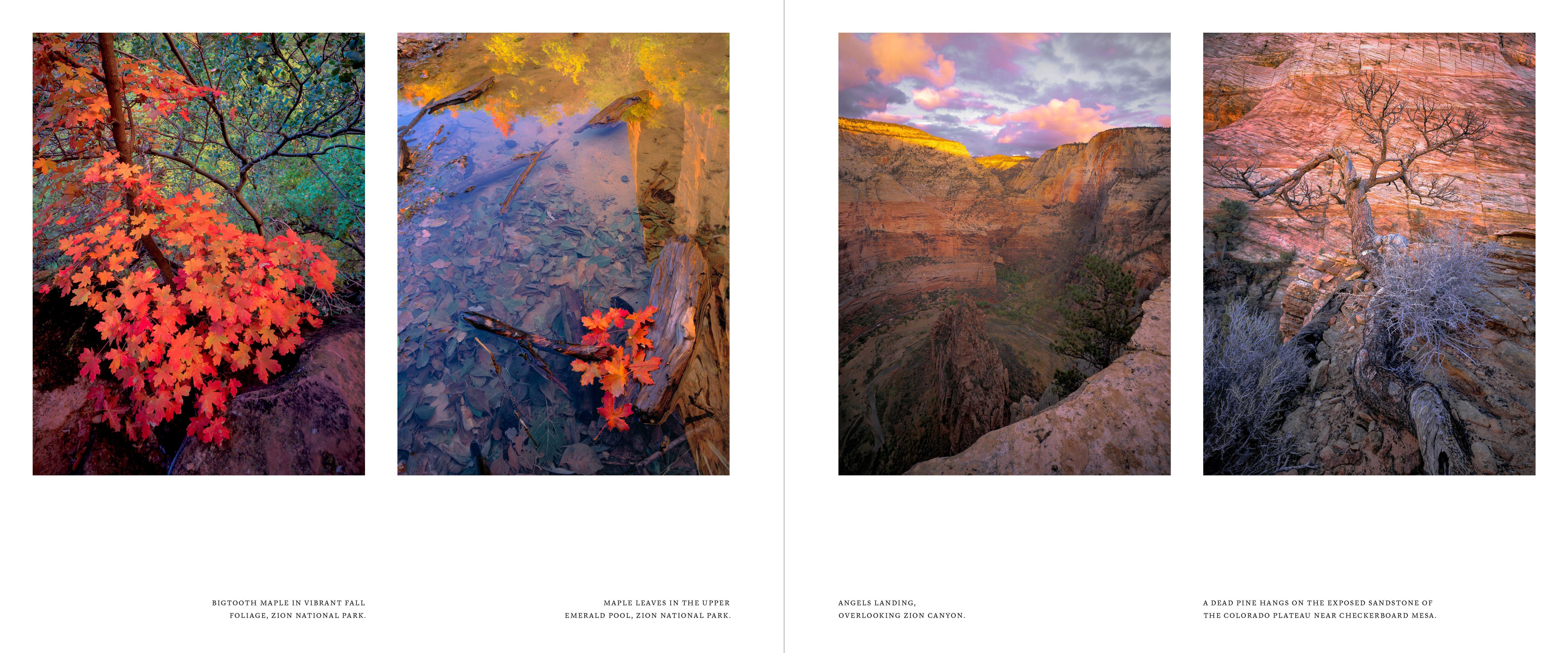 Beispielinhalt (Bild) Utah: The Beehive State