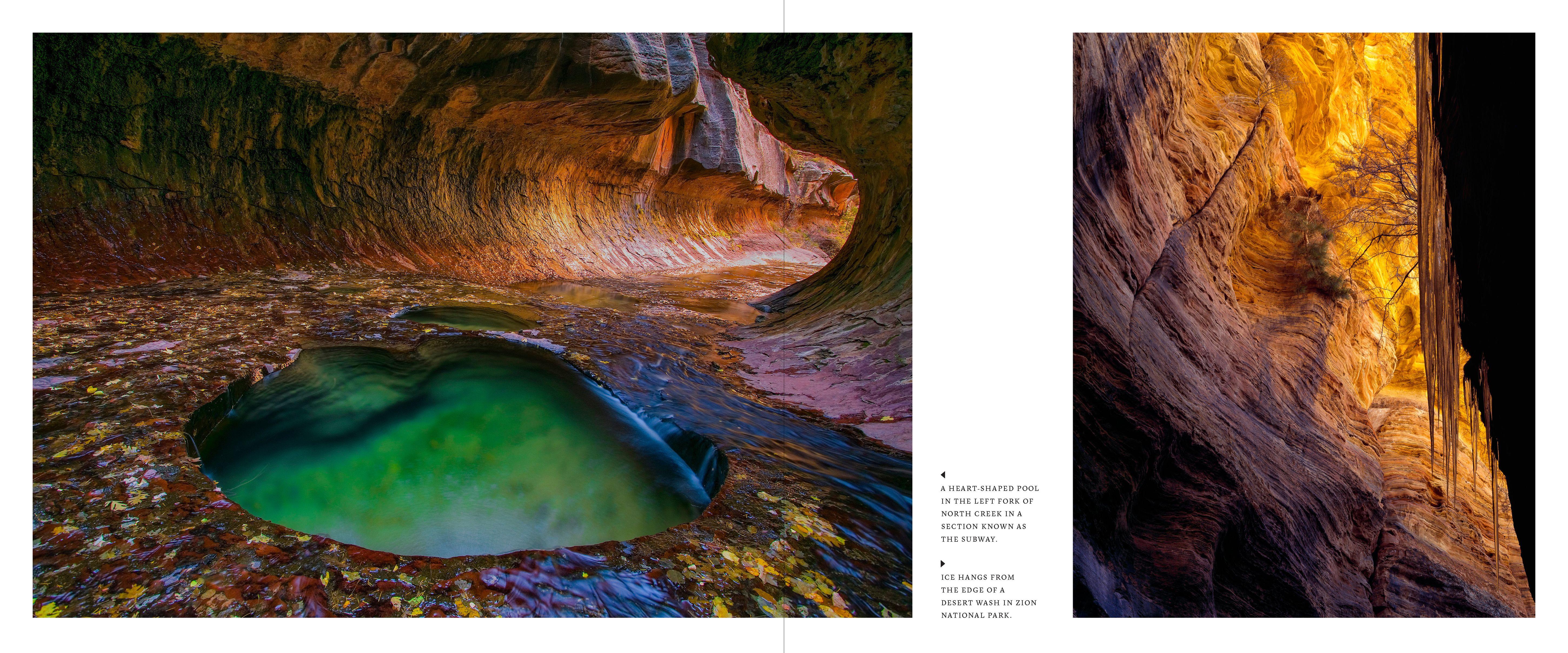 Beispielinhalt (Bild) Utah: The Beehive State