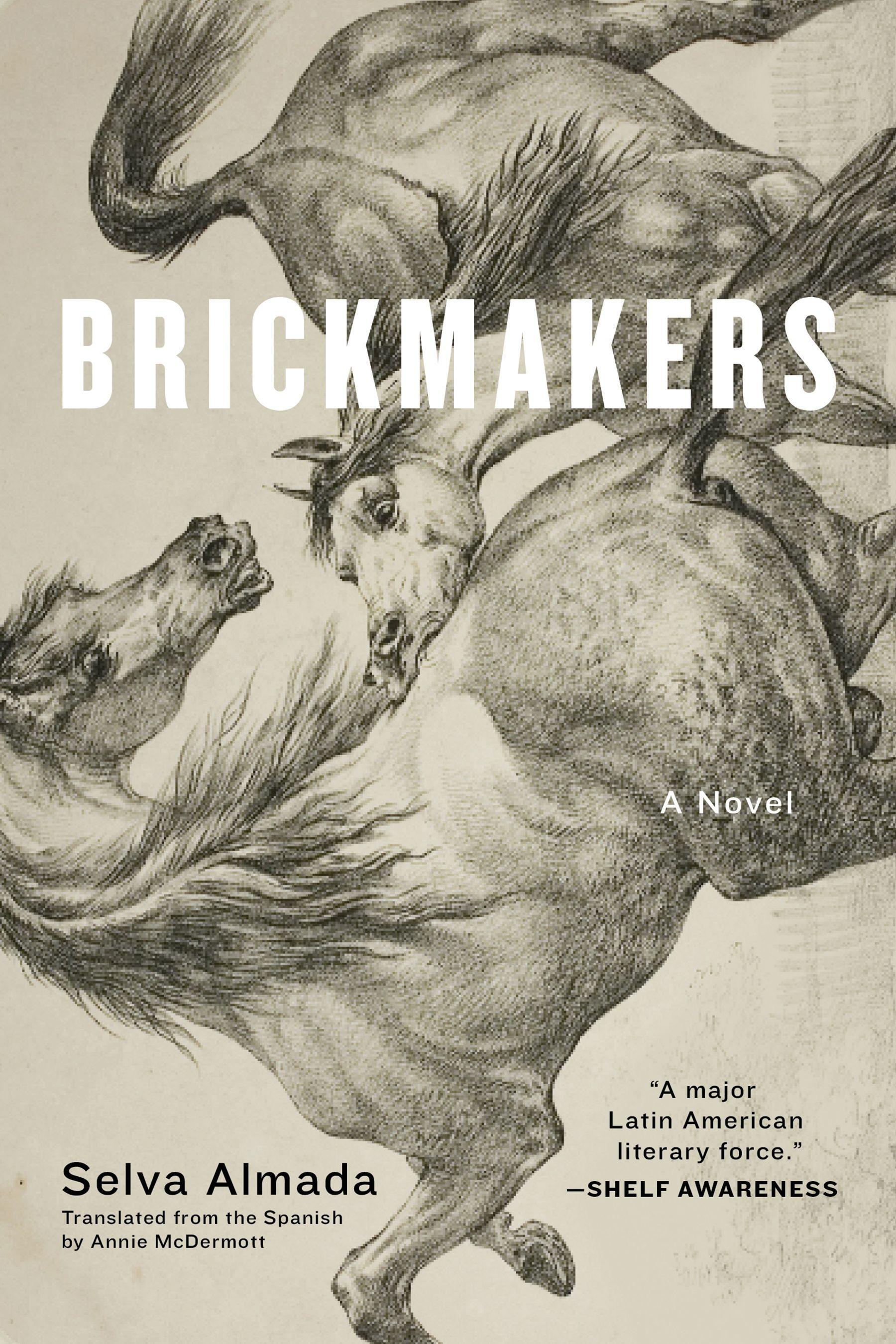 Vorderes Coverbild Brickmakers