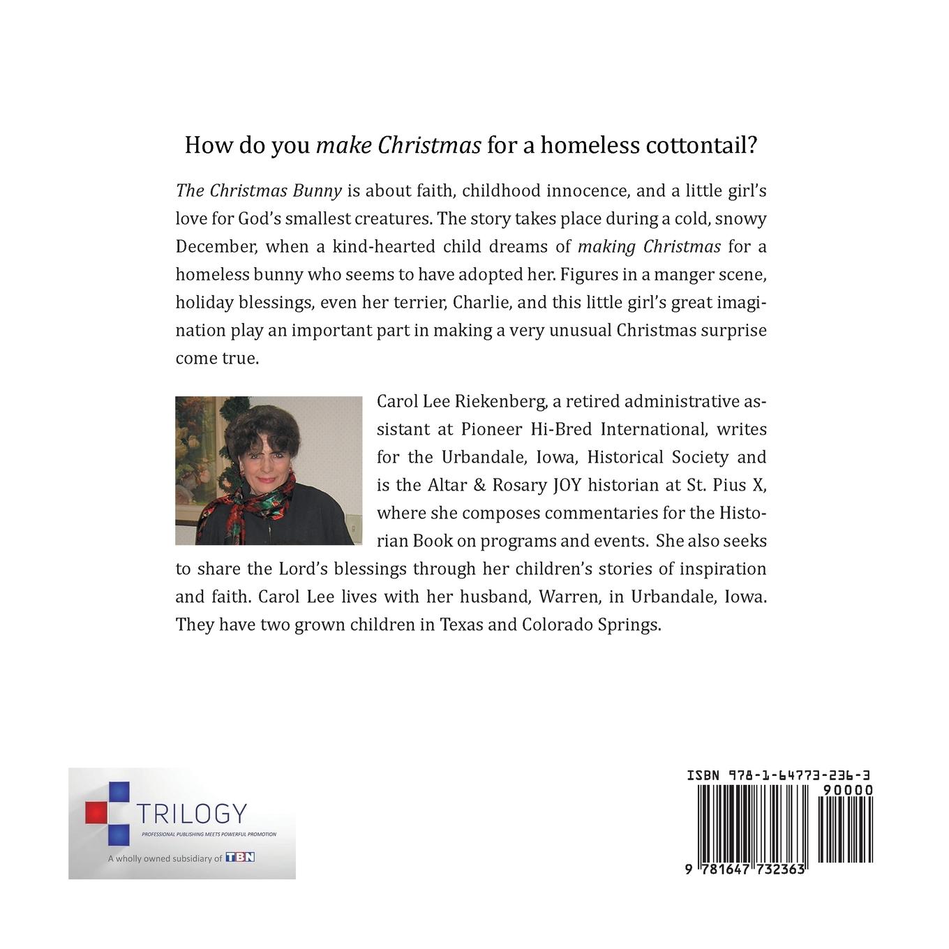 Rückseitencover The Christmas Bunny