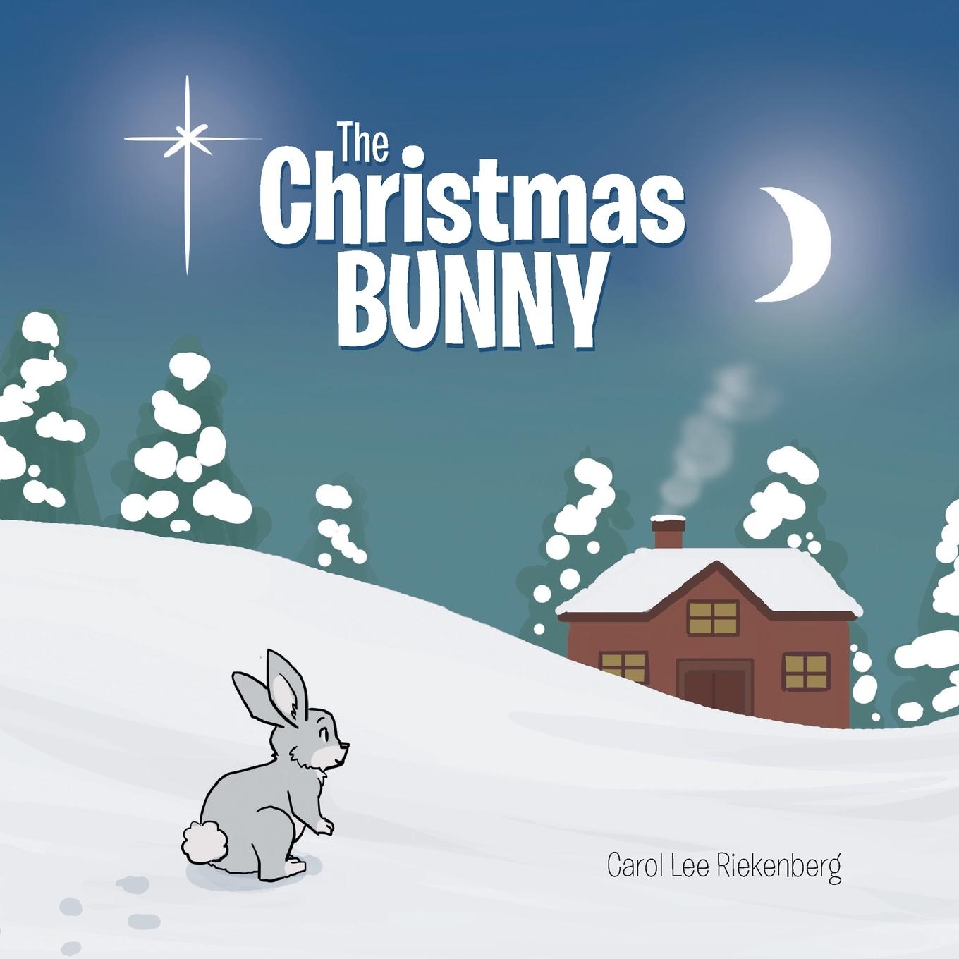 Vorderes Coverbild The Christmas Bunny