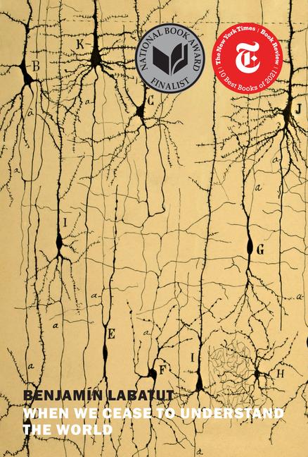 Vorderes Coverbild When We Cease to Understand the World