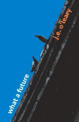 Vorderes Coverbild What a Future