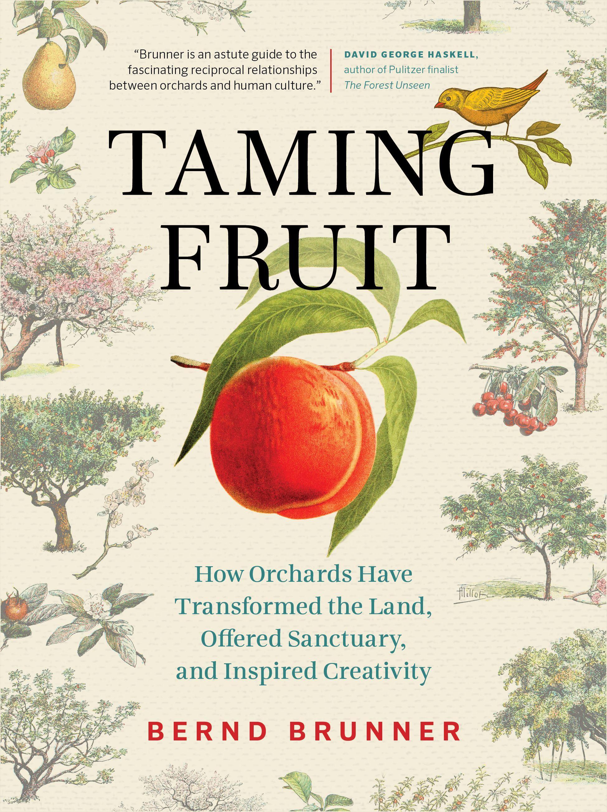 Vorderes Coverbild Taming Fruit