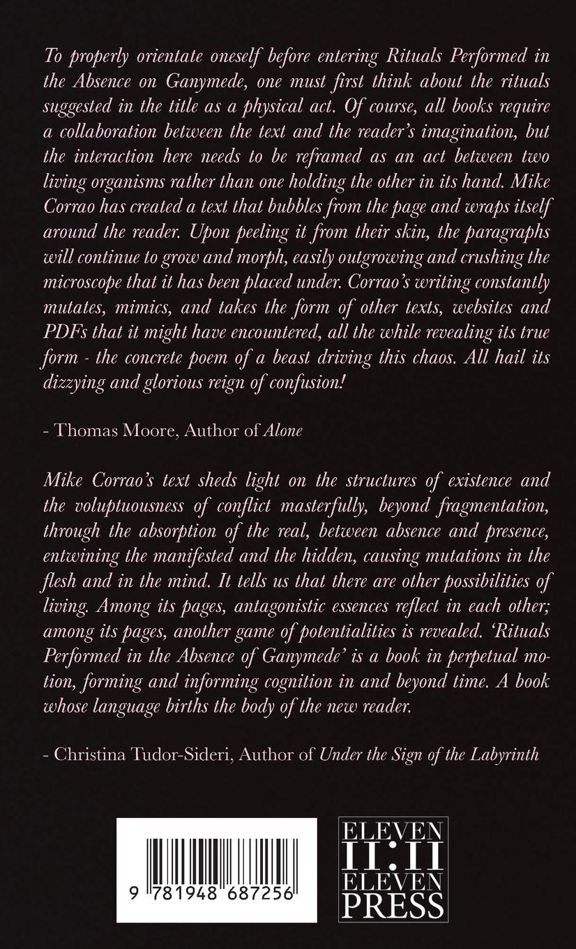 Rückseitencover Rituals Performed in the Absence of Ganymede