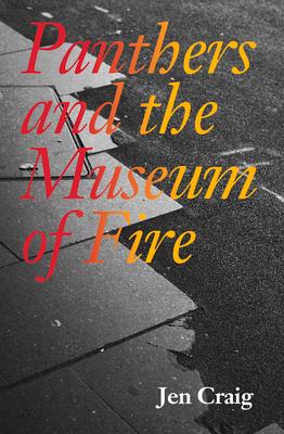 Vorderes Coverbild Panthers and the Museum of Fire