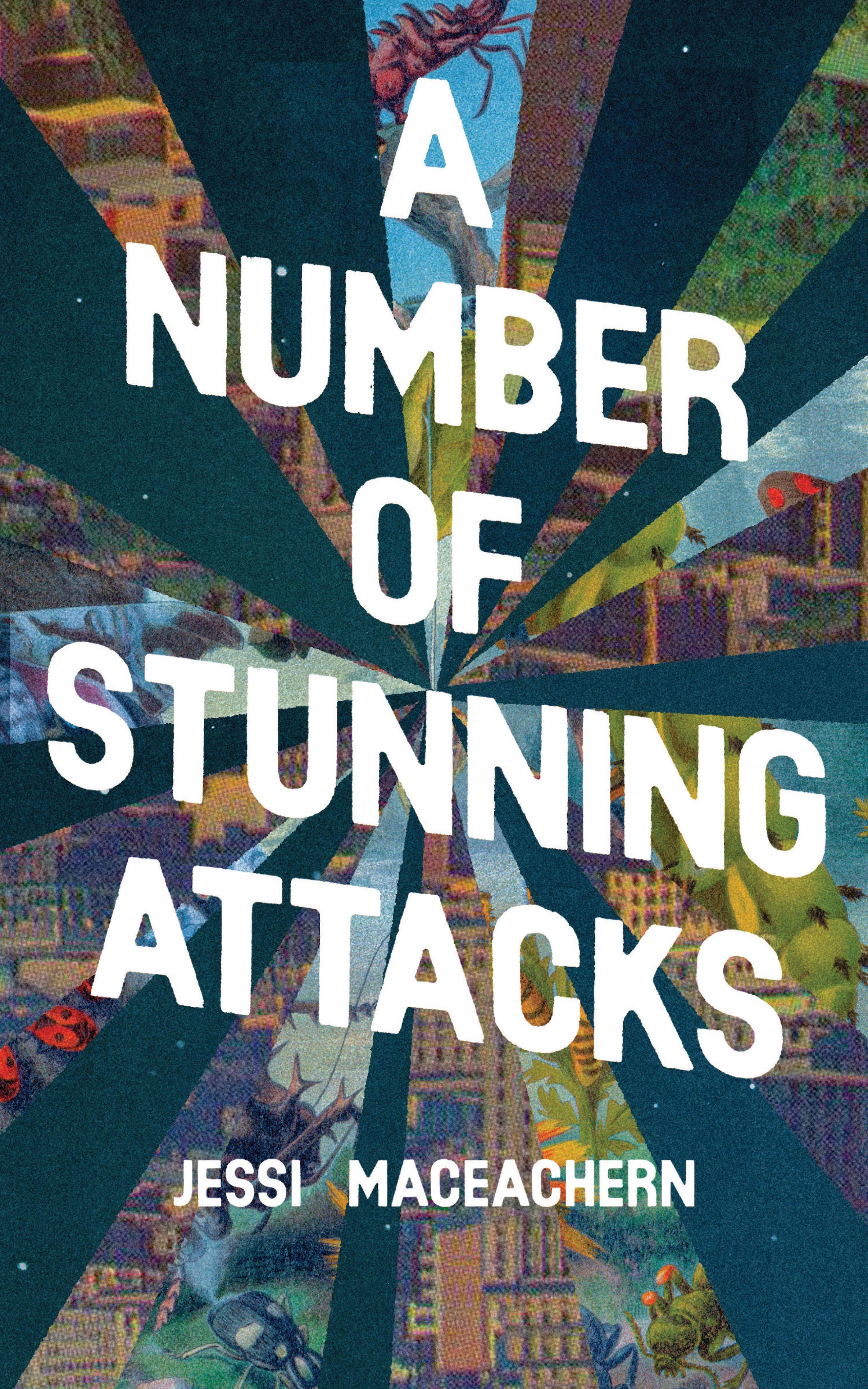 Vorderes Coverbild A Number of Stunning Attacks