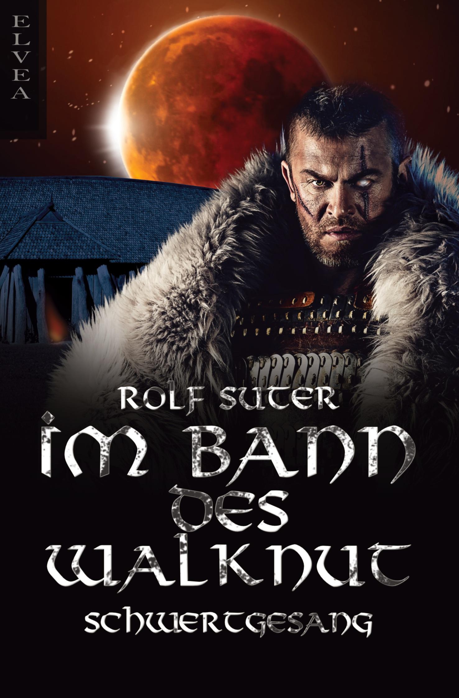 Vorderes Coverbild Im Bann des Walknut: Schwertgesang