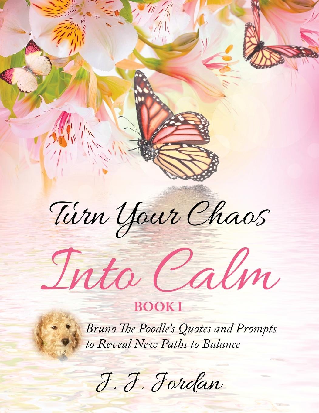 Vorderes Coverbild Turn Your Chaos Into Calm