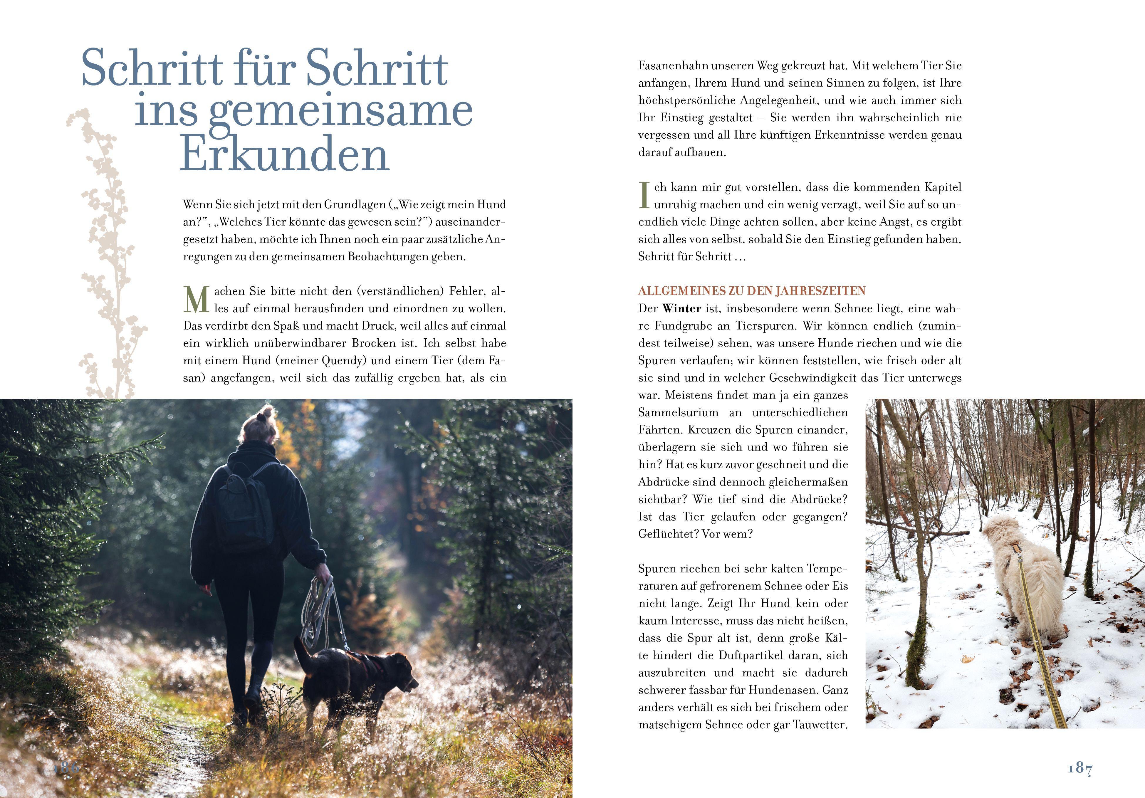 Beispielinhalt (Bild) Sei mein Scout