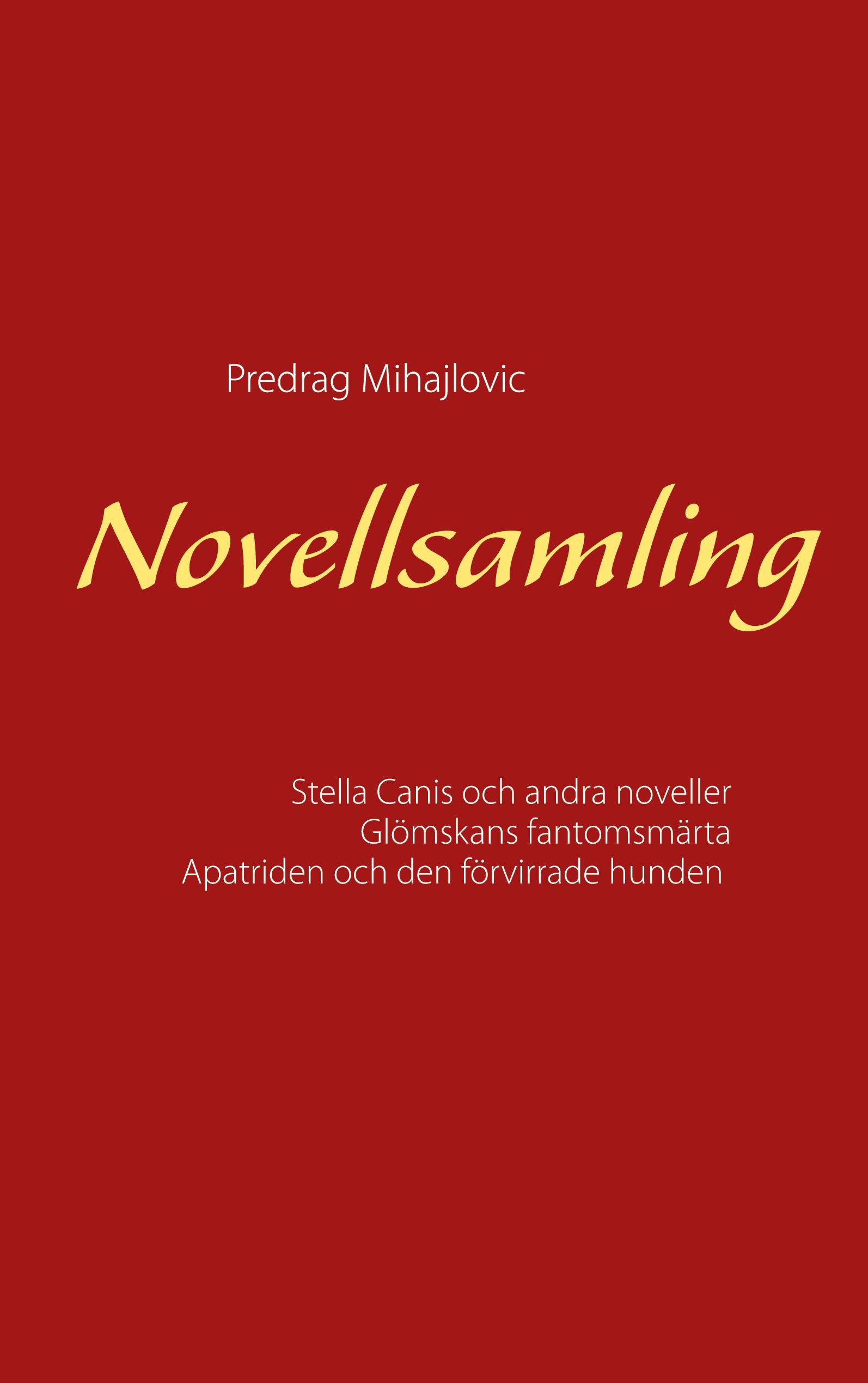 Vorderes Coverbild Novellsamling
