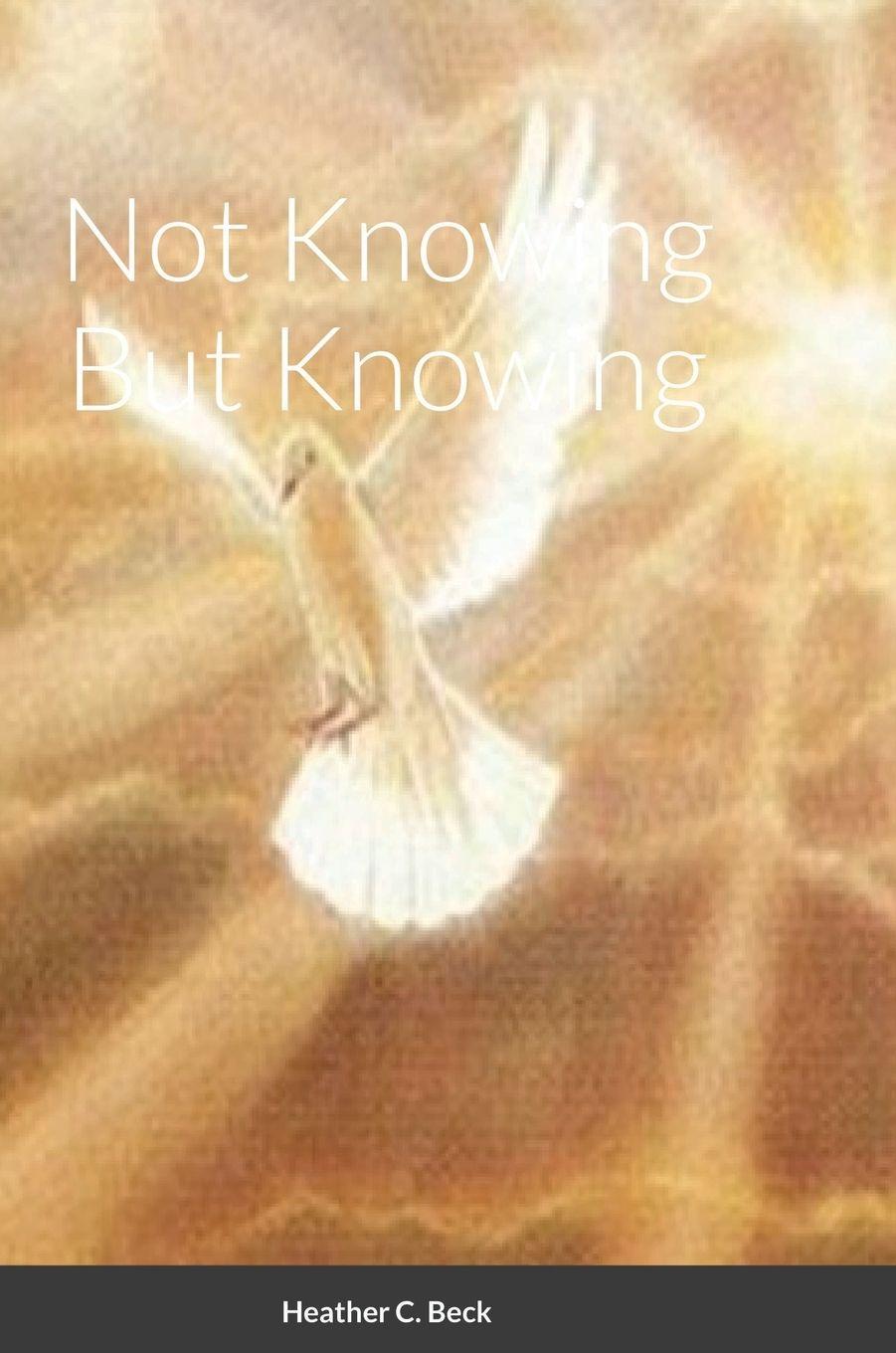 Vorderes Coverbild Not Knowing But Knowing