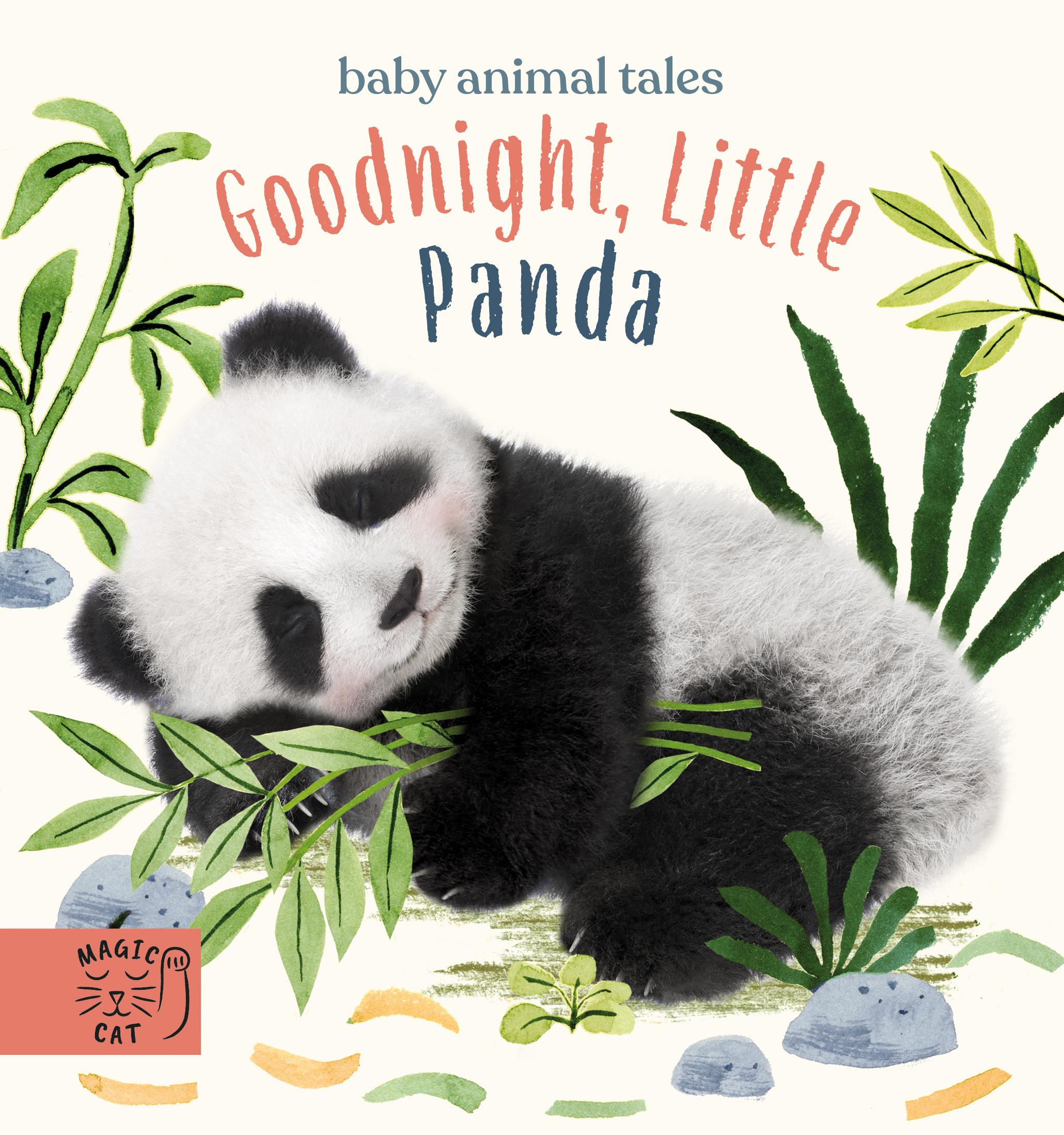 Vorderes Coverbild Goodnight, Little Panda