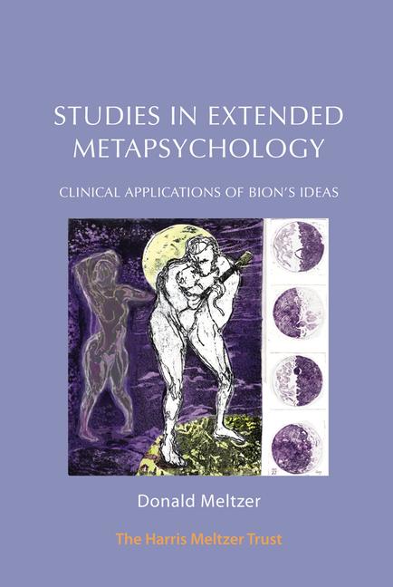 Vorderes Coverbild Studies in Extended Metapsychology