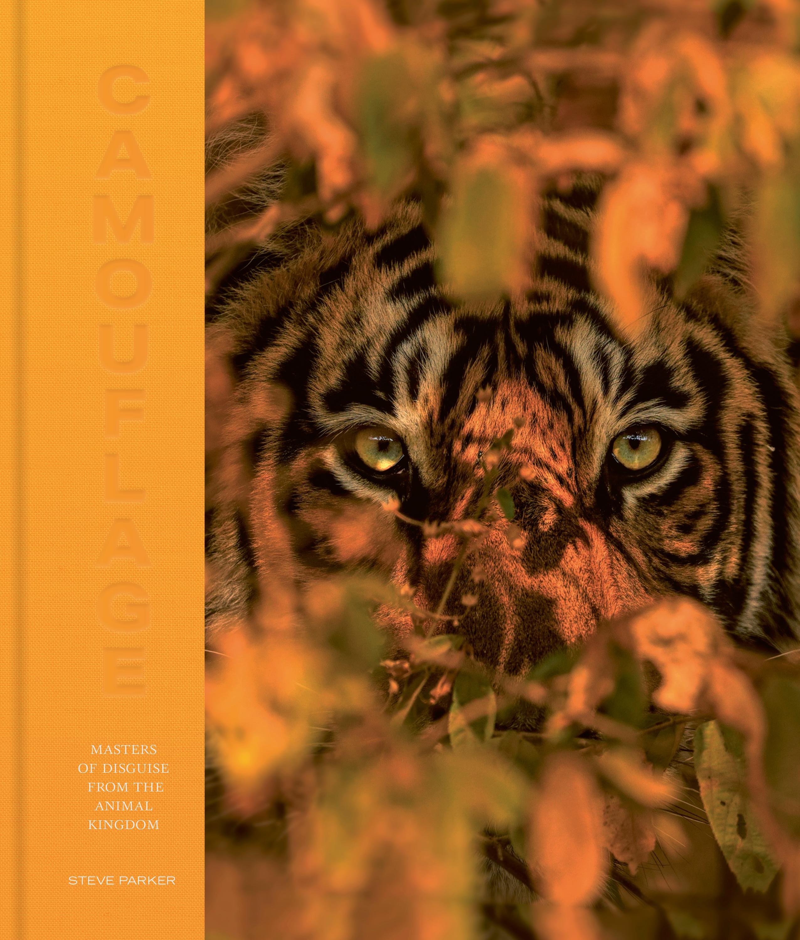 Vorderes Coverbild Camouflage