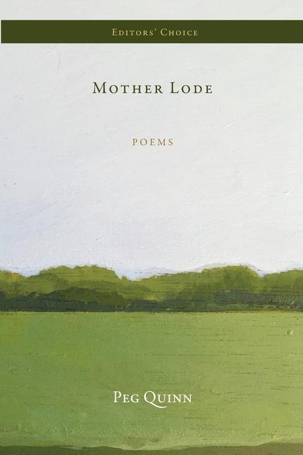 Vorderes Coverbild Mother Lode