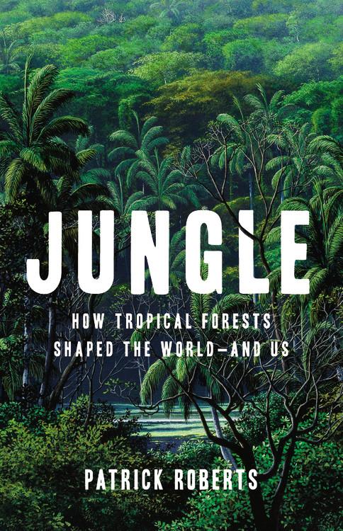Vorderes Coverbild Jungle