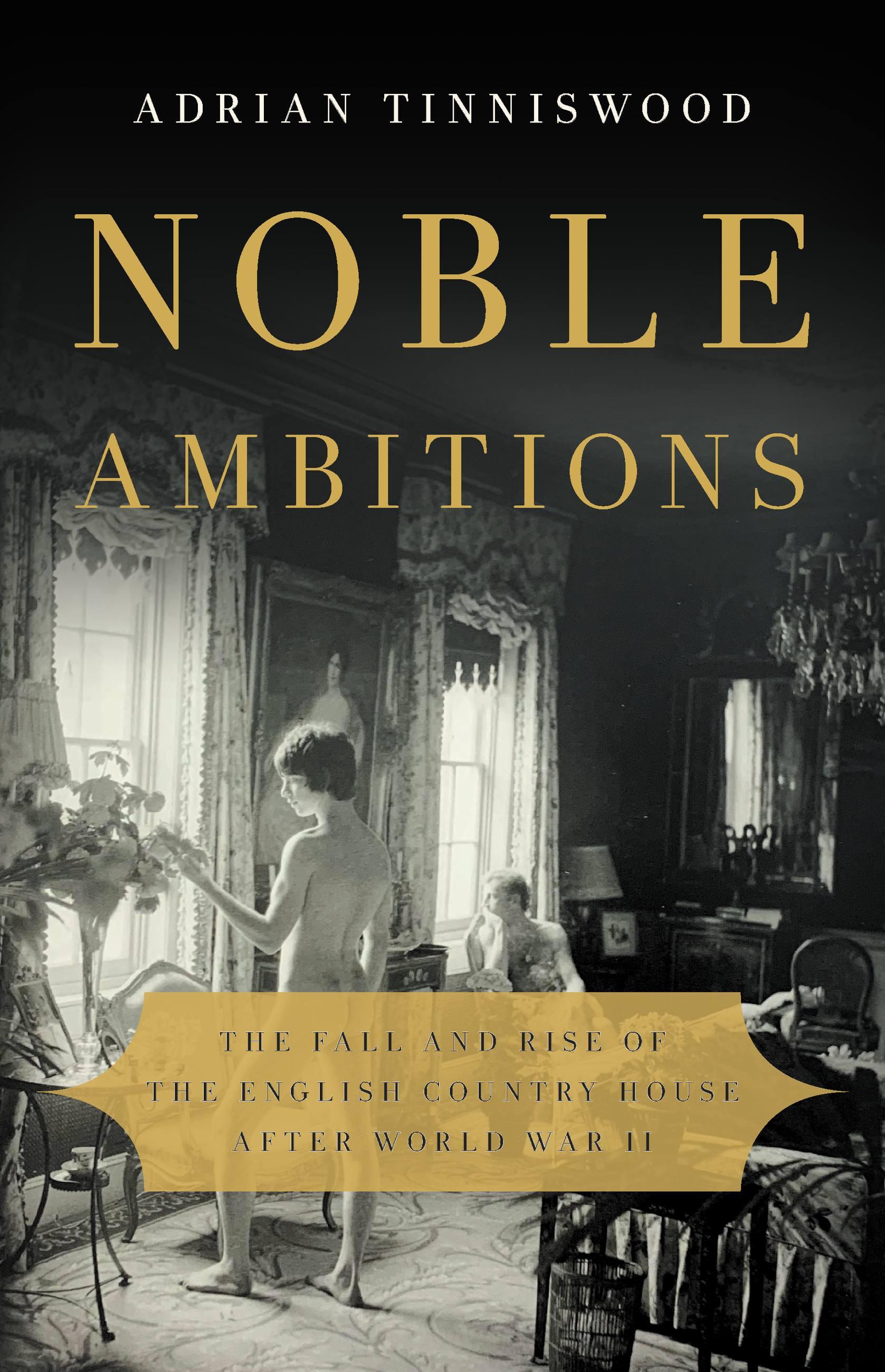 Vorderes Coverbild Noble Ambitions
