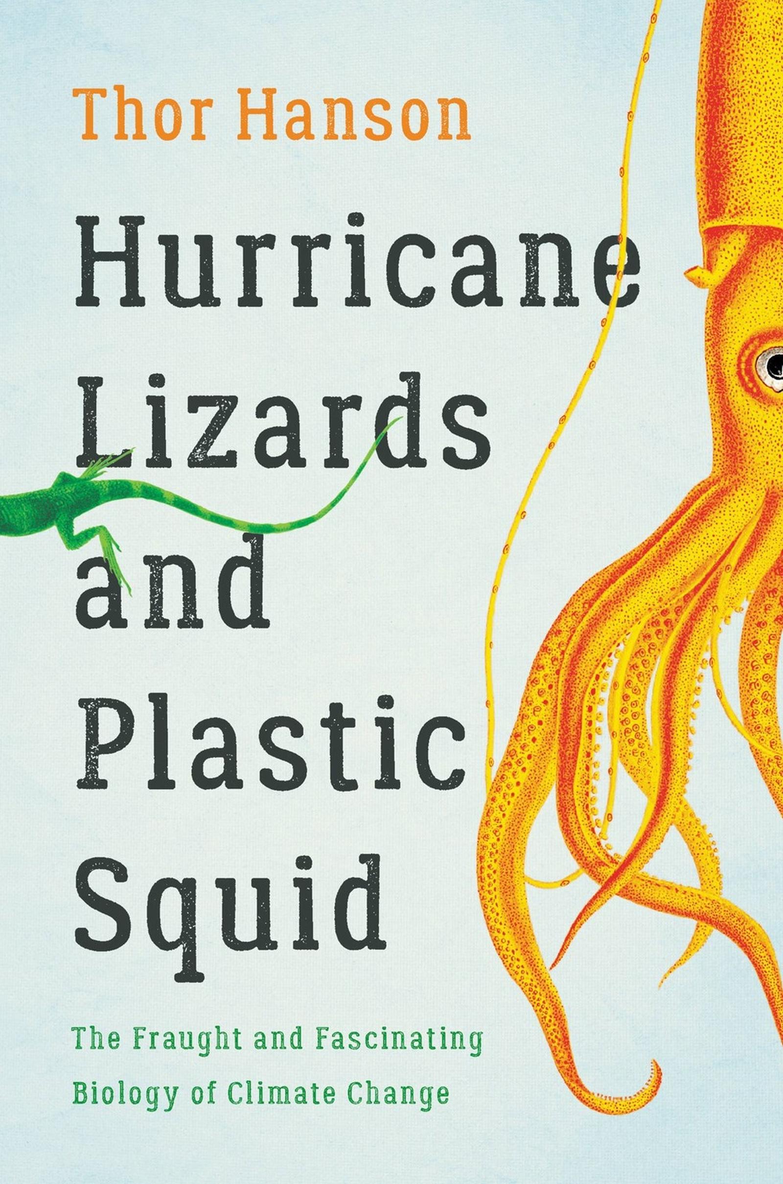 Vorderes Coverbild Hurricane Lizards and Plastic Squid