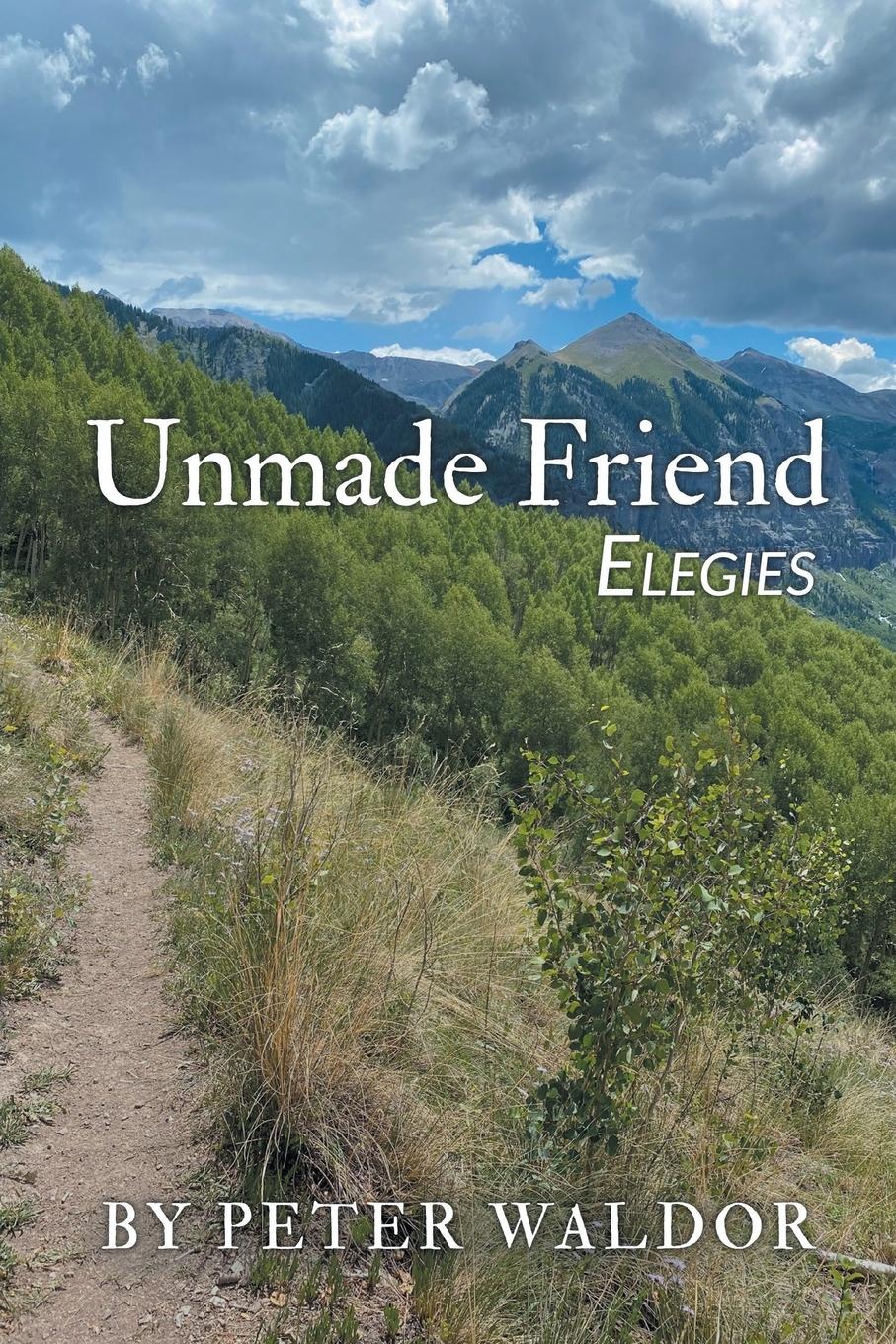 Vorderes Coverbild Unmade Friend - Elegies