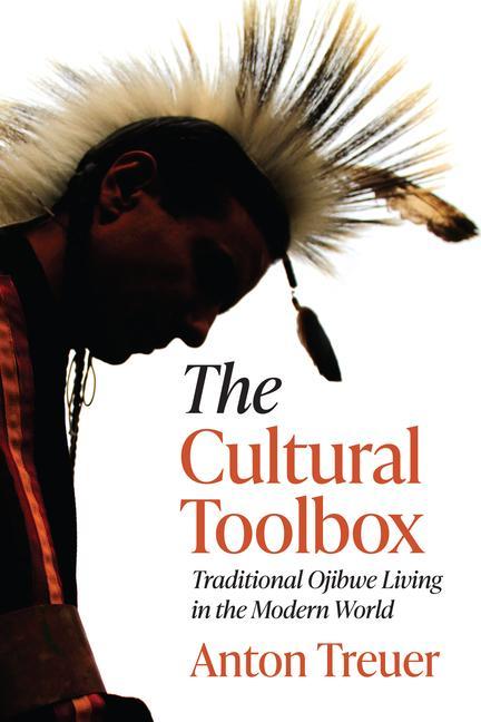 Vorderes Coverbild The Cultural Toolbox
