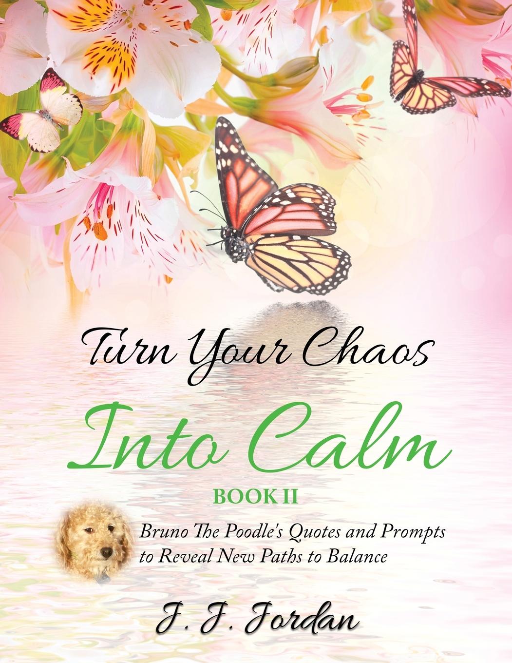 Vorderes Coverbild Turn Your Chaos Into Calm