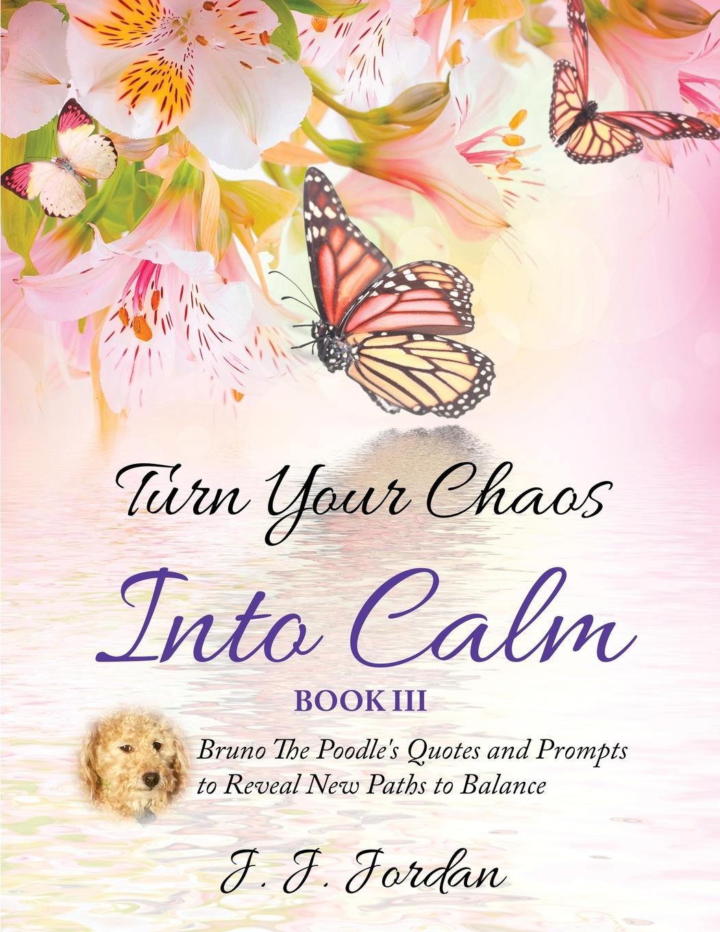 Vorderes Coverbild Turn Your Chaos Into Calm
