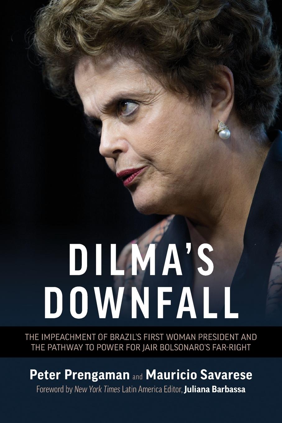 Vorderes Coverbild Dilma's Downfall