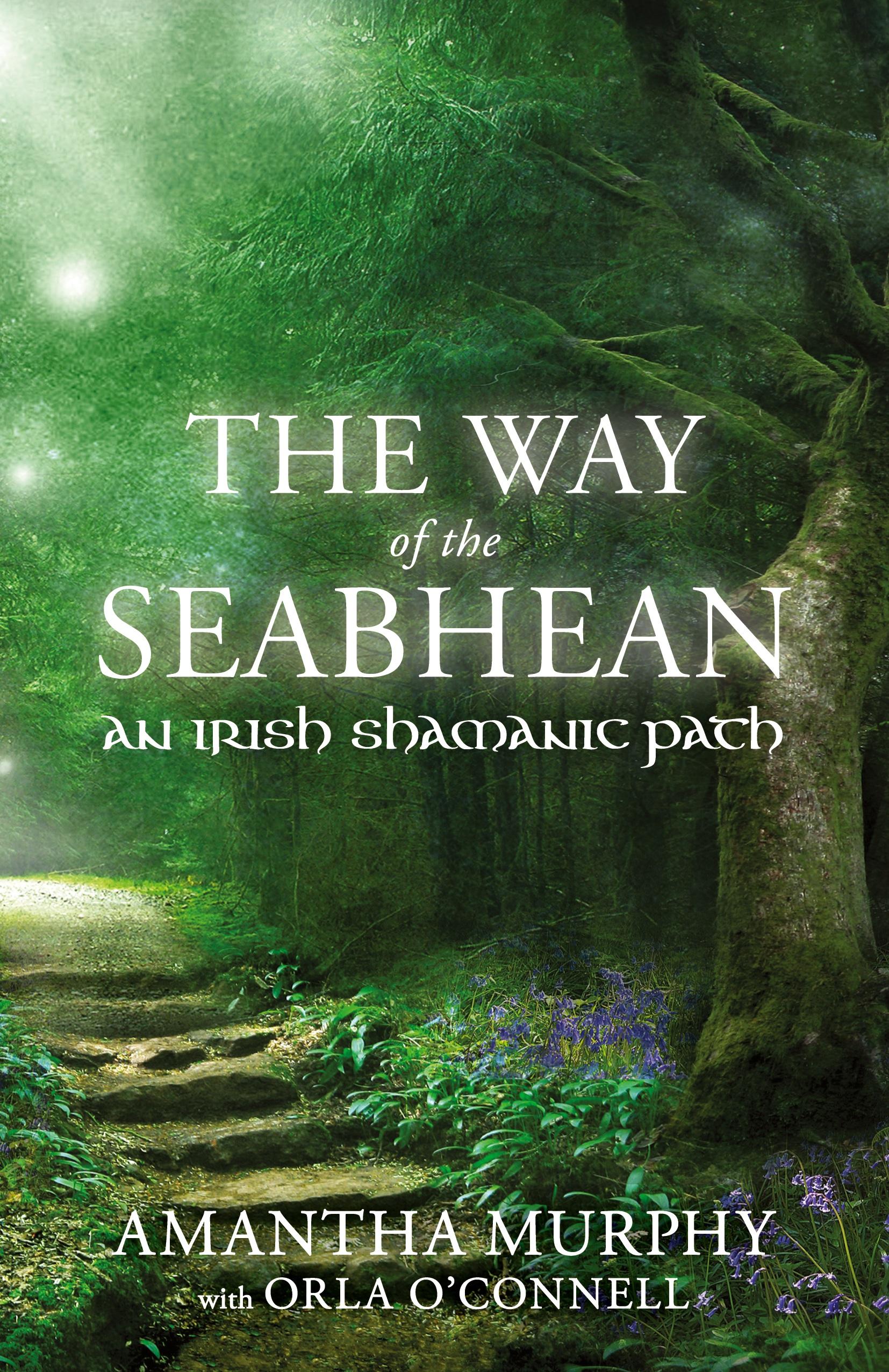 Vorderes Coverbild The Way of the Seabhean