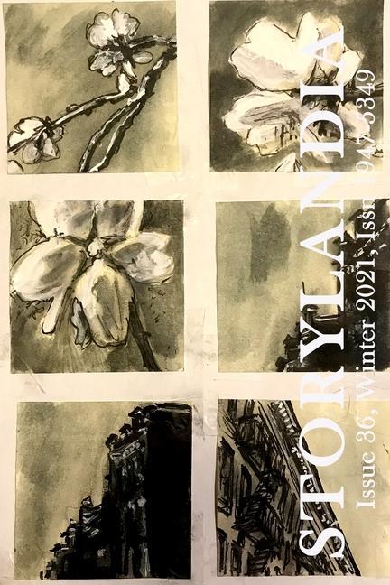 Vorderes Coverbild Storylandia 36