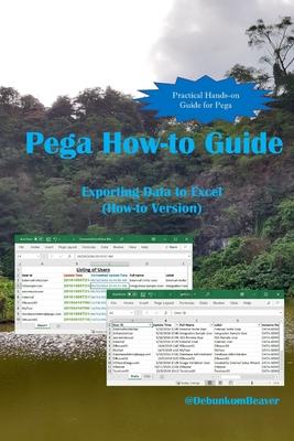 Vorderes Coverbild Pega How-to Guide: Exporting Data to Excel (How-to Version)