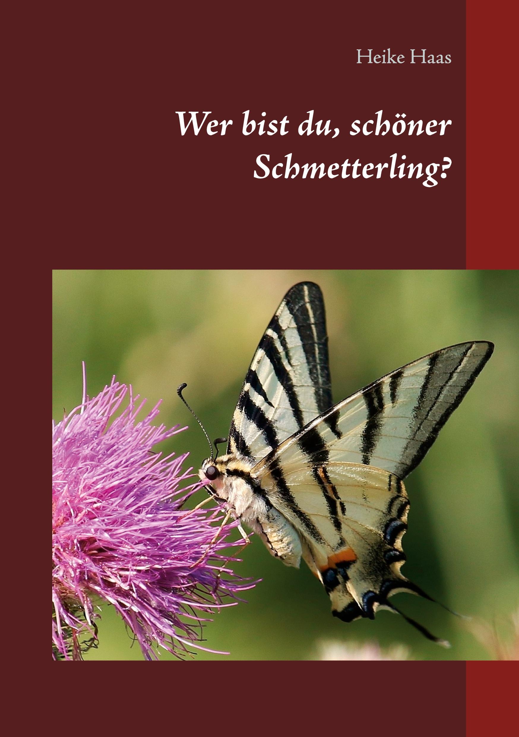 Vorderes Coverbild Wer bist du, schöner Schmetterling?
