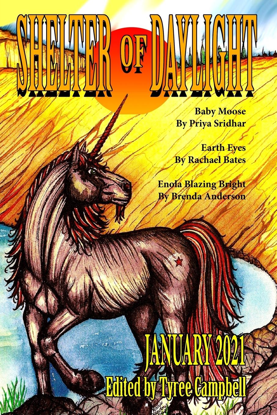 Vorderes Coverbild Shelter of Daylight January 2021