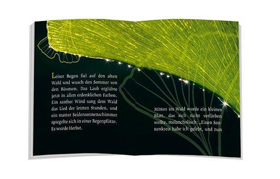 Beispielinhalt (Bild) Das Märchen vom Ginkgoblatt