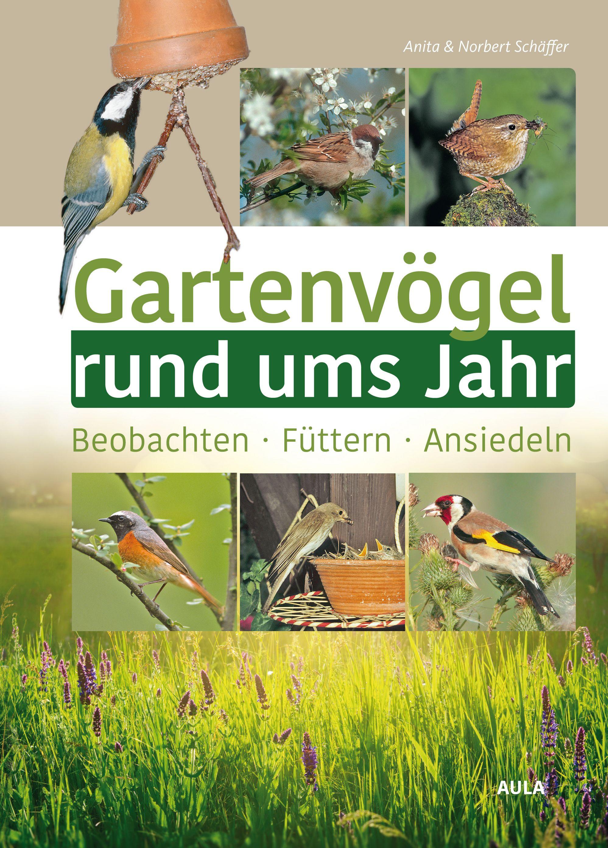 Vorderes Coverbild Gartenvögel rund ums Jahr