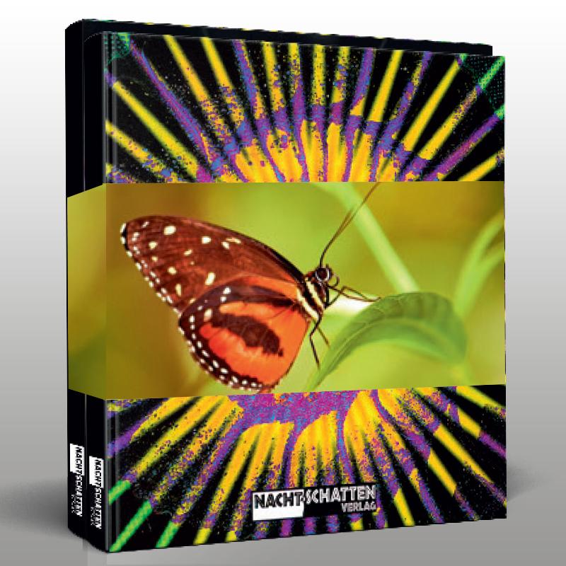 Vorderes Coverbild Reflexionen