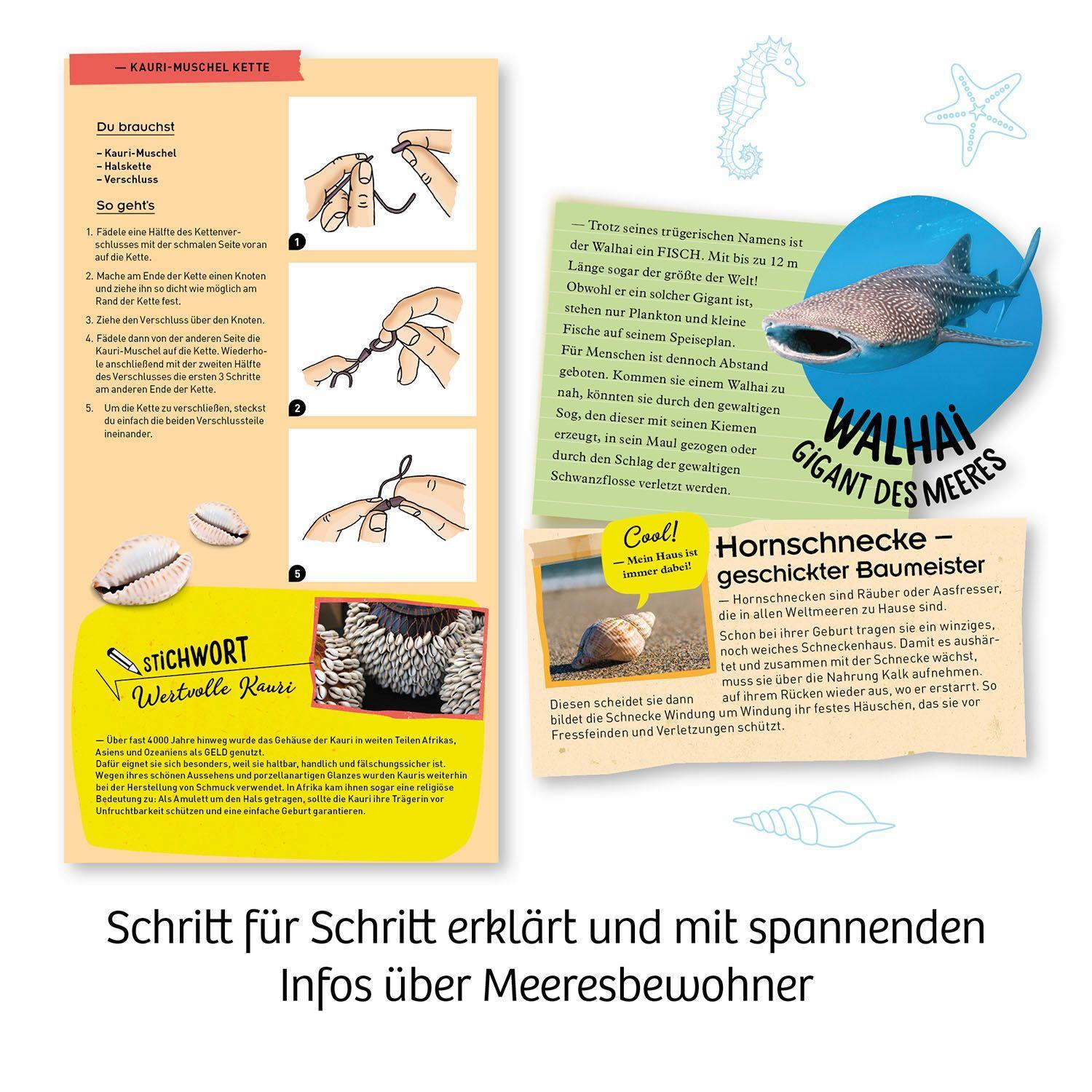 Beispielinhalt (Bild) Meeres-Abenteuer