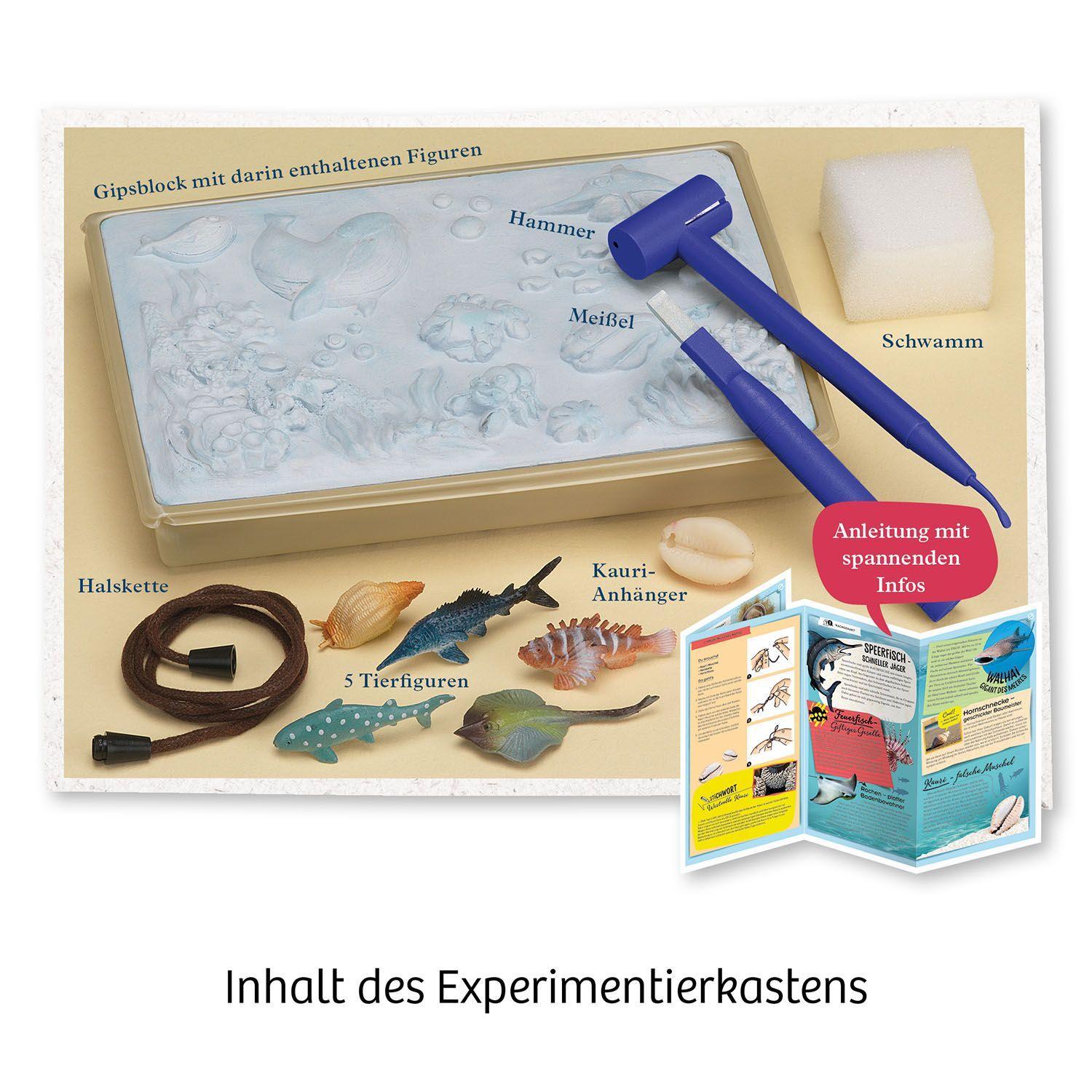 Beispielinhalt (Bild) Meeres-Abenteuer