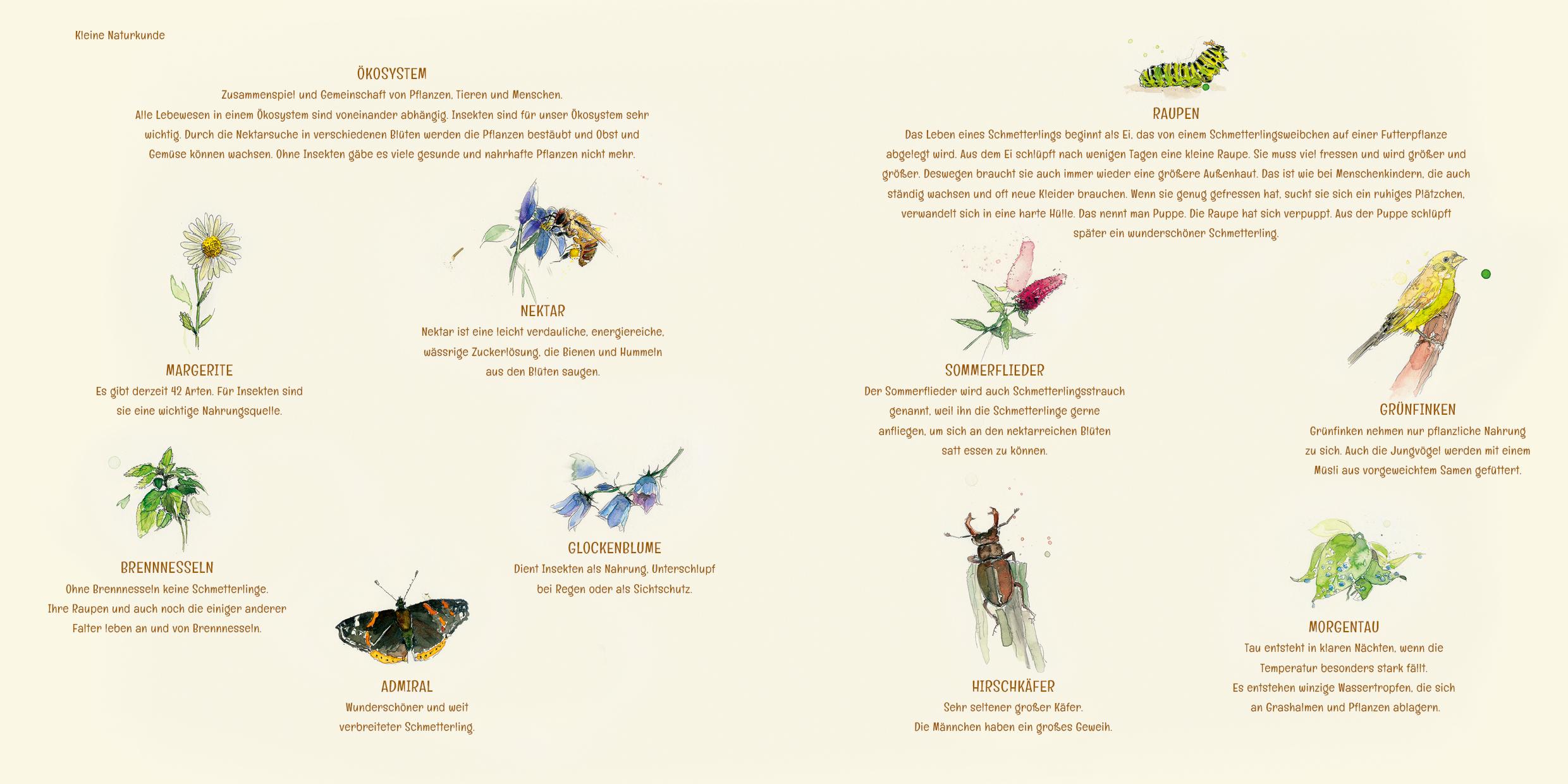 Beispielinhalt (Bild) Hummelchen in Not