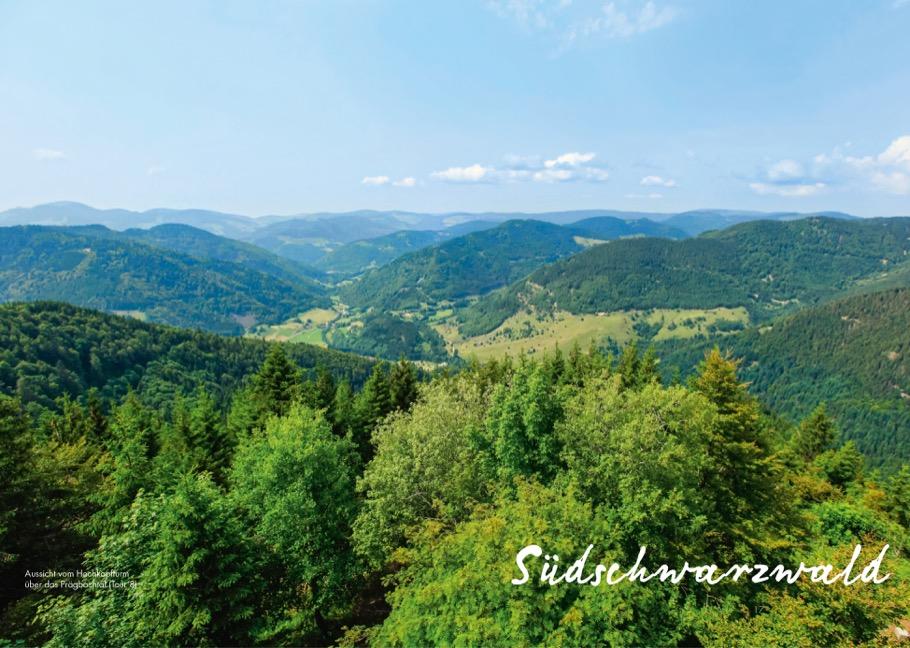 Beispielinhalt (Bild) Panoramawege für Senioren Süd-Schwarzwald