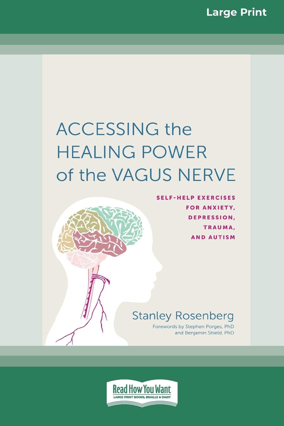 Vorderes Coverbild Accessing the Healing Power of the Vagus Nerve